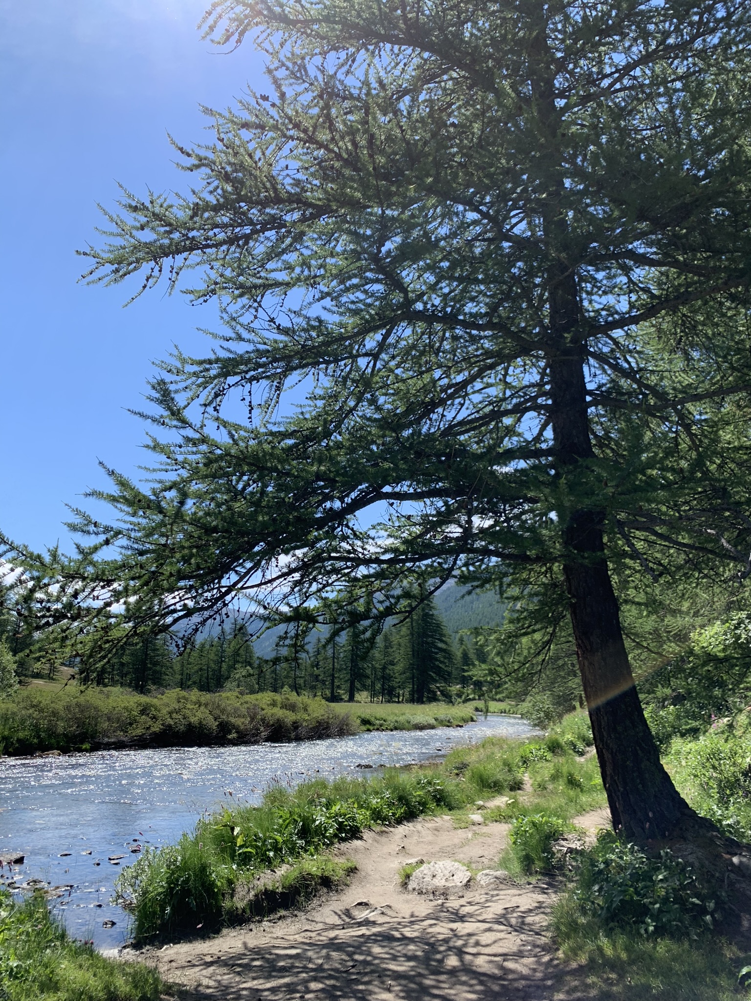 Le long de La Clarée