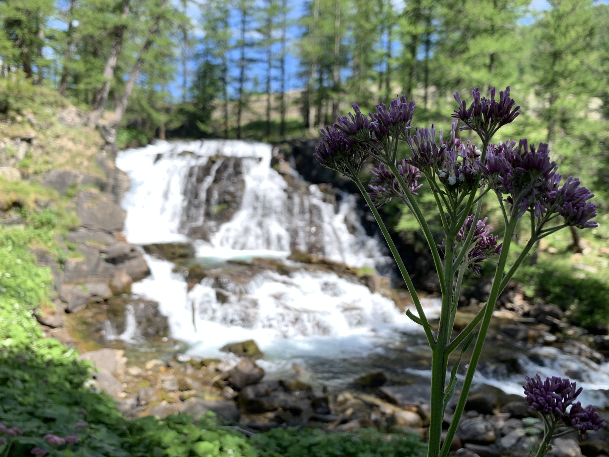 La Cascade de Fontcouverte